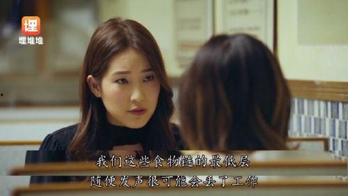娱乐圈吃瓜宝典小说